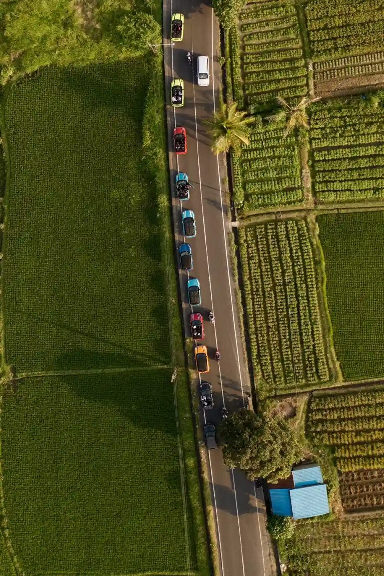 Aerial view of rice fields beside a road in Bali