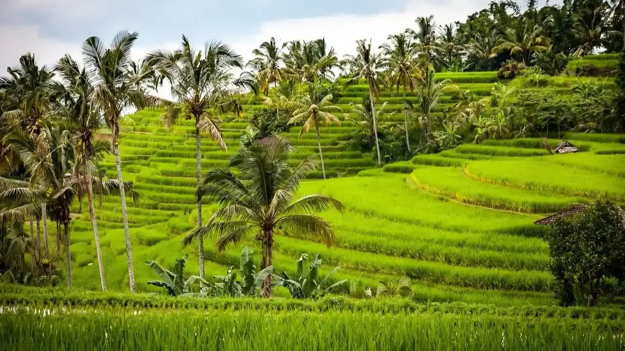 Ubud